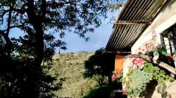 Gomez98xxx  29-10-2021 video toys